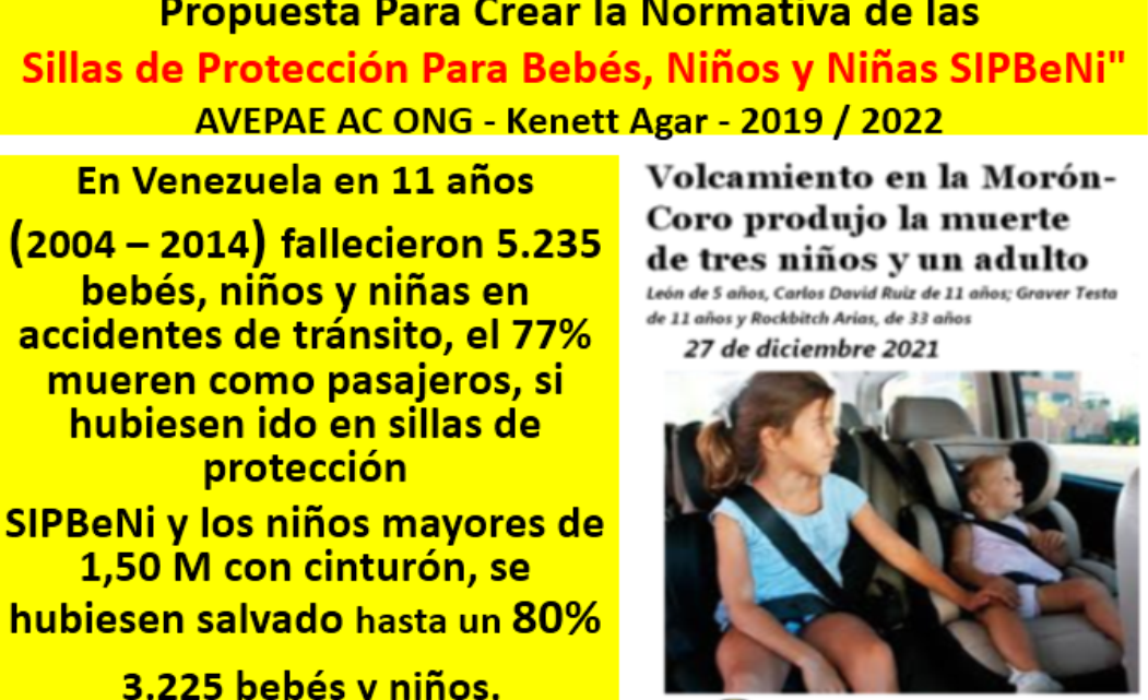 Documento Público a las Autoridades Año 2019.   Sillas de Protección Para Bebés, Niños y Niñas SIPBeNi/SRI Venezuela AVepae.