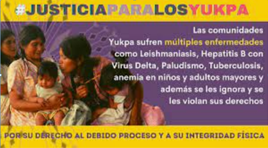 Niño indígena de la Sierra de Perijá muere por falta de suero antiofídico.              AVepae AC ONG.